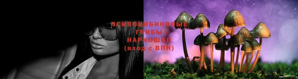 твердый Сосновоборск