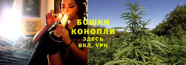 ECSTASY Сосновка
